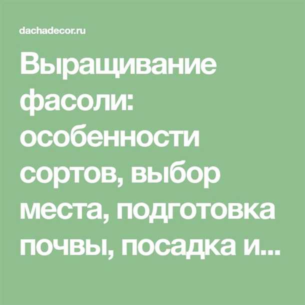 Выращивание фасоли на дачном участке (видео)