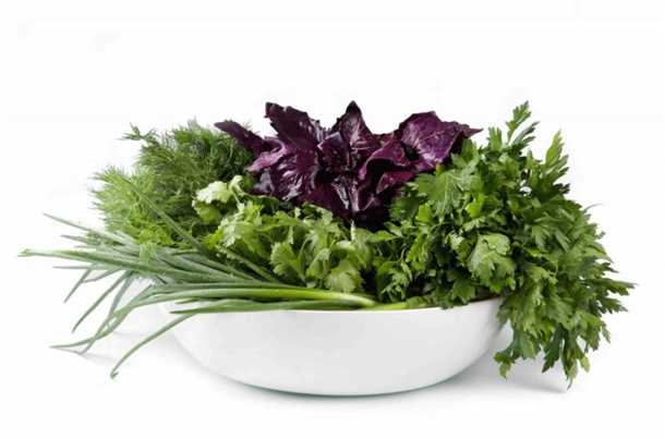 Щавель – это вкусное и полезное растение, которое можно выращивать даже на своем приусадебном участке. Свежая зелень щавеля всегда пригодится для приготовления салатов, супов и соусов. Кроме того, щавель содержит много витаминов и минералов, полезных для здоровья.