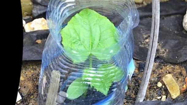 Преимущества способа