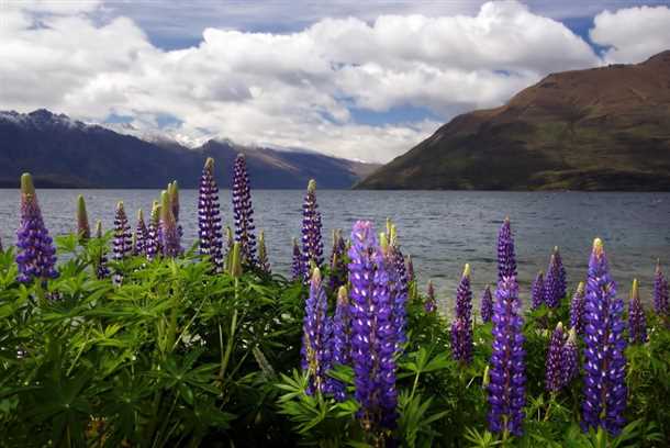 Подготовка к посадке семян