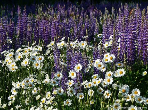 Технология ухода