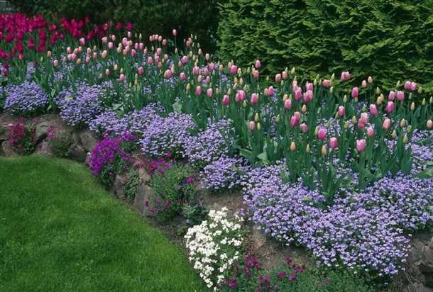 Шаг 2: Выбор и подготовка луковиц