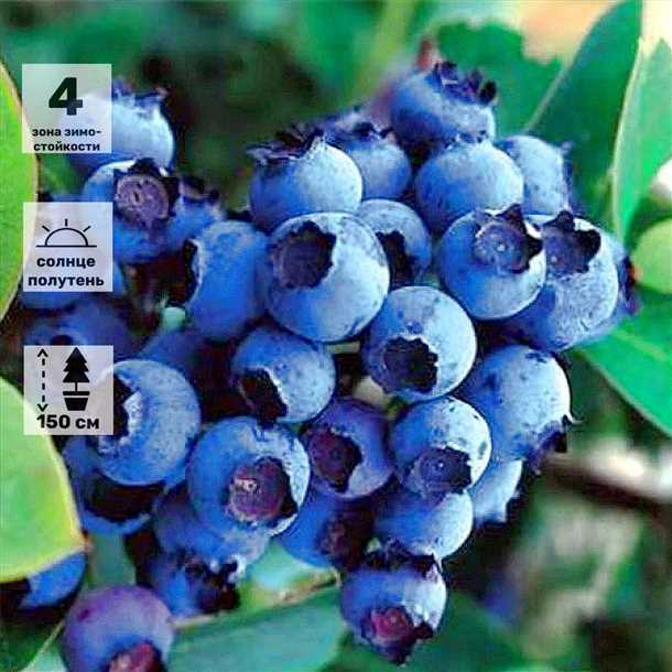 Выбор участка