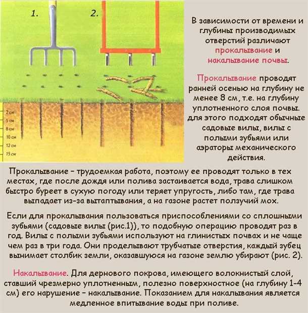 2. Аэратор на колесиках