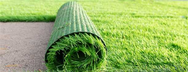 1. Спортивный газон