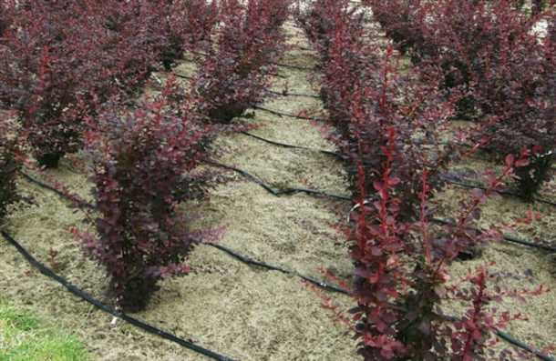 Правила посадки